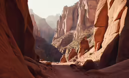 the narrowss and walls of the canyon are lined with rock formations