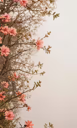 pink flowers on a branch of a tree in front of a sky