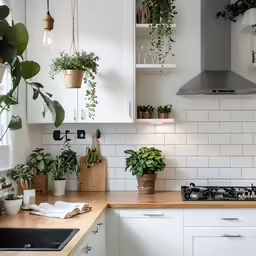 kitchen with various plants on counter tops and shelves