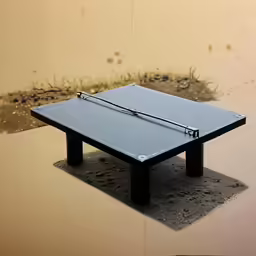 the table tennis is laying on a surface