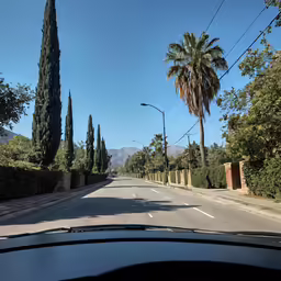an empty road, with the sun hitting the palm trees