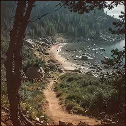 a path leads up to an almost empty beach