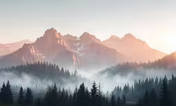pine trees and mountains in the fog