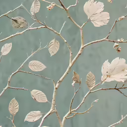 leaves on a branch against a blue wall