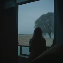 a woman looking out the window at a field through the window