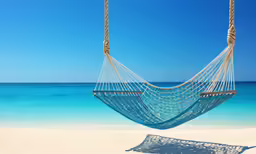 hammock hanging over sandy beach on clear day