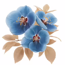 three large blue flowers with some very pretty petals