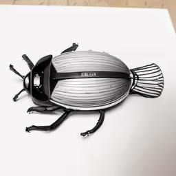 a black and white photo of a bug on white paper
