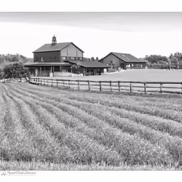 an old photo of some farm buildings