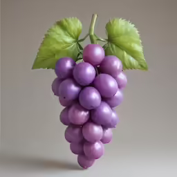 this is an image of a grapes decoration