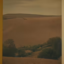the landscape is very barren with trees on it