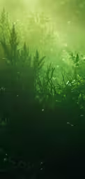 green leaves in the sunlight on a plant