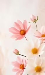 pink and white flowers are grouped together on a white surface