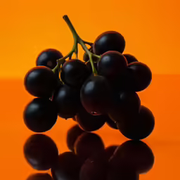 the grapes are still still on the vine