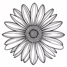 a flower in black and white photograph,black and white flower with center in center,a simple drawing of a flower on a white background,a flower that is black and white, a drawing,a flower drawing, in black and white