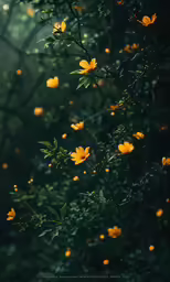 a yellow flower on top of a plant