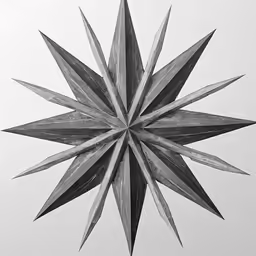 the star shaped, dark, black and white image