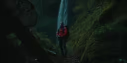 a man in a red jacket standing at the base of a waterfall