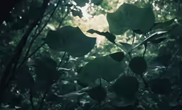 a bunch of leafs that are on a tree