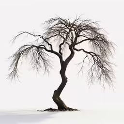 a lone tree sitting on top of snow covered ground