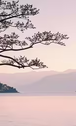 a scenic view of the beach and trees