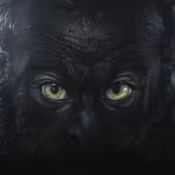 a close up photo of a black cat with yellow eyes
