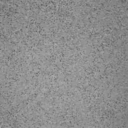 gray cement background with black dots