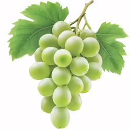 a bunch of white grapes sitting on top of a green leaf