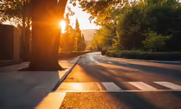a very pretty street with a lot of trees