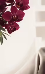 the elegant flowers are near a white window