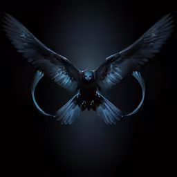 a dark bird with black wings and light feathers