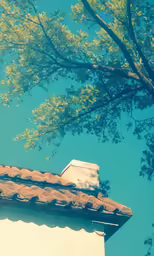 the corner of a house with a tree on top