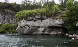 trees and a rock in the middle of a body of water