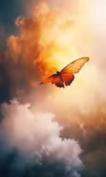 a butterfly with wings extended flying in the air