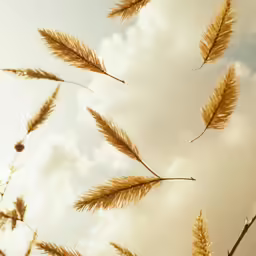 some very pretty looking plants in the sky