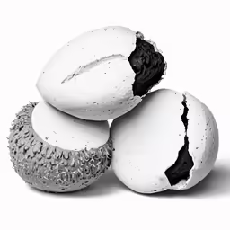 an art print of two halves of black and white duriant on a white background