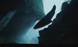 a bird is flying through a mountain tunnel