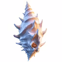 a white vase with white shells and spiked spikes