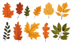 an assortment of leaves on white paper
