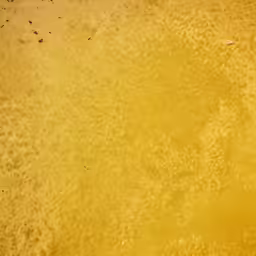 a bright yellow wall with a few brown spots on it