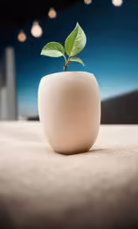 a small plant growing in a small round bowl
