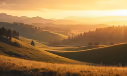 a green pasture with some trees and mountains