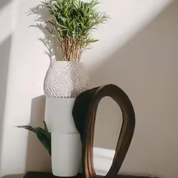 a vase with plants sits on a shelf