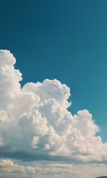 the view from the ground of a sky full of clouds