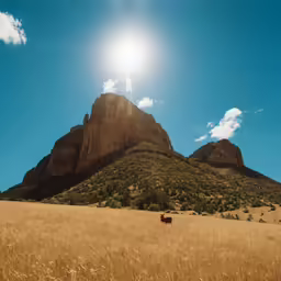 a landscape shot with a mountain in the background