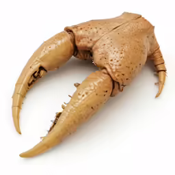 a giant crab is shown with its claw out