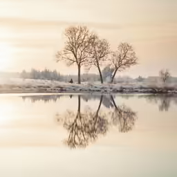 a lone person is walking on a snow - covered shore