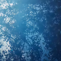 the branches and leaves of an apple tree in full bloom