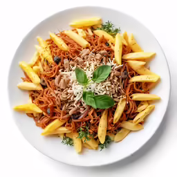 a dish of some type of pasta that is on a plate