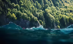 a large body of water with trees on the side